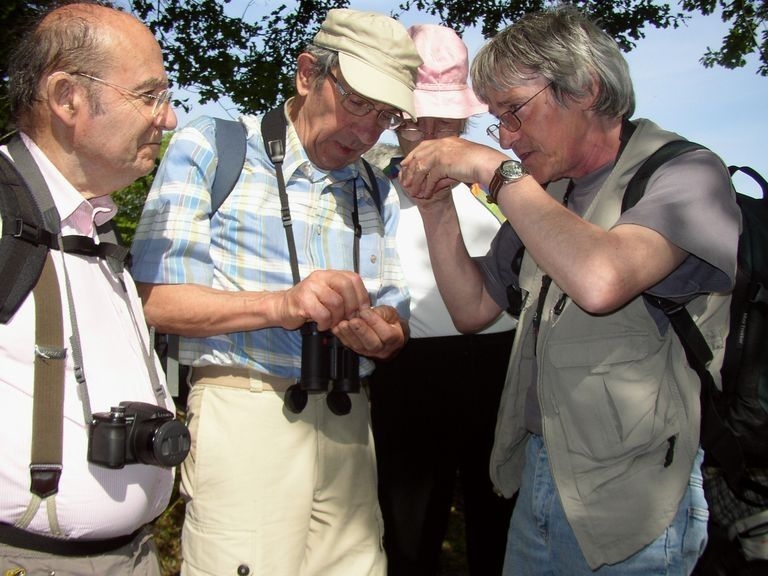 2008 05 A la découverte des trognes martelais 02